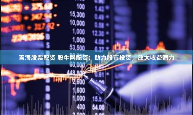 青海股票配资 股牛网配资：助力股市投资，放大收益潜力